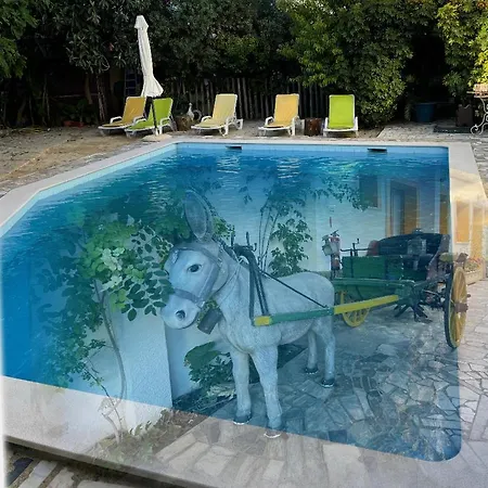 Apartament Ria Olhão